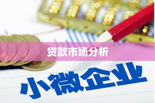 疏勒贷款市场分析