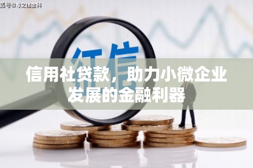 疏勒信用社贷款，助力小微企业发展的金融利器