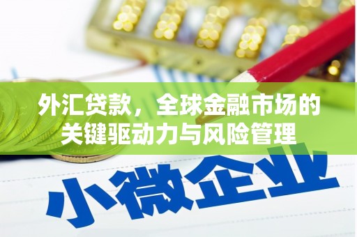 疏勒外汇贷款，全球金融市场的关键驱动力与风险管理