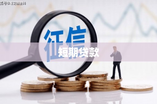 疏勒短期贷款