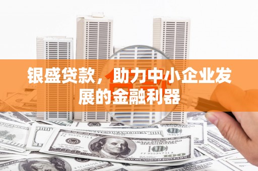 疏勒银盛贷款，助力中小企业发展的金融利器