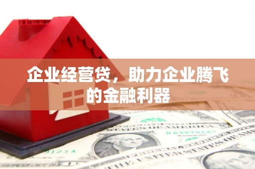 疏勒企业经营贷，助力企业腾飞的金融利器