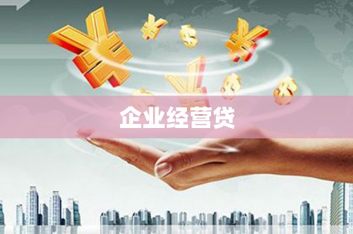 疏勒企业经营贷