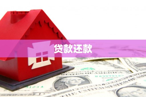 疏勒贷款还款