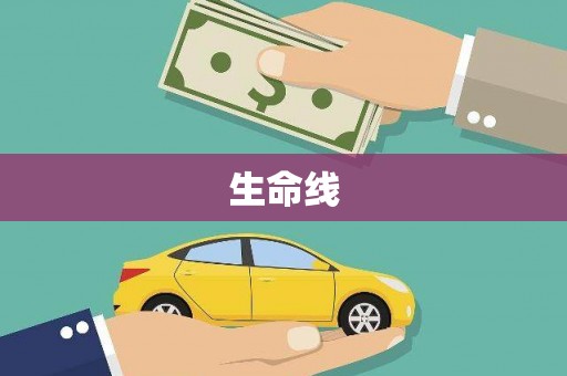 疏勒生命线