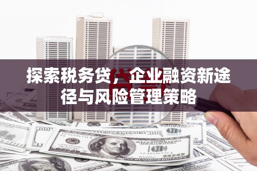 疏勒探索税务贷，企业融资新途径与风险管理策略