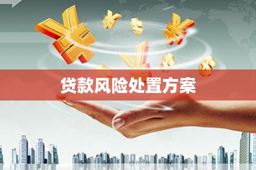 疏勒贷款风险处置方案