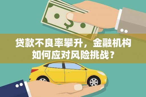 疏勒贷款不良率攀升，金融机构如何应对风险挑战？