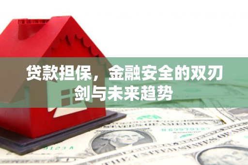 疏勒贷款担保，金融安全的双刃剑与未来趋势