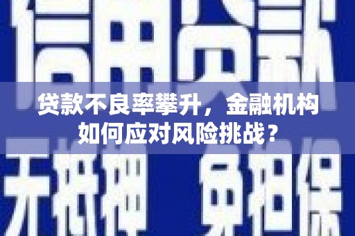 疏勒贷款不良率攀升，金融机构如何应对风险挑战？