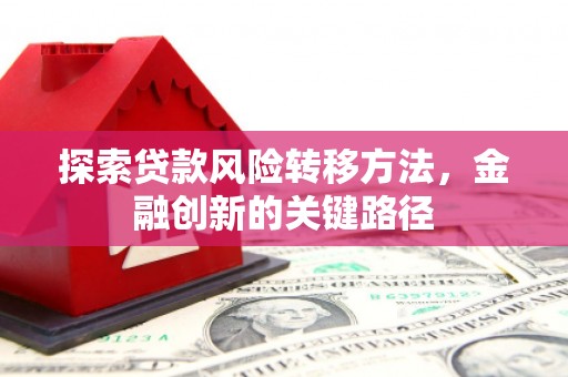 疏勒探索贷款风险转移方法，金融创新的关键路径