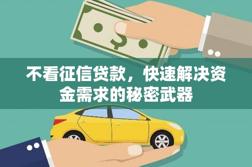 疏勒不看征信贷款，快速解决资金需求的秘密武器
