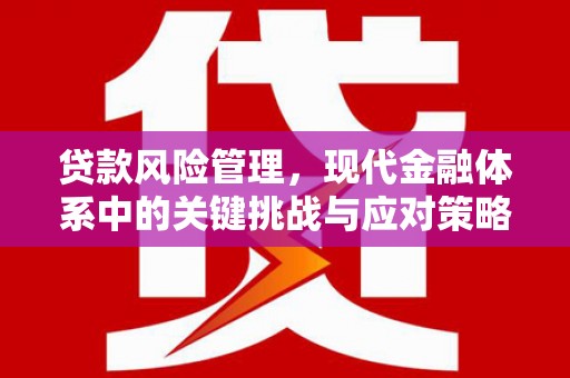 疏勒贷款风险管理，现代金融体系中的关键挑战与应对策略