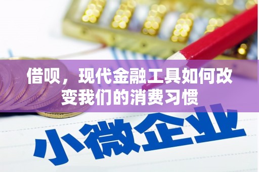 疏勒借呗，现代金融工具如何改变我们的消费习惯