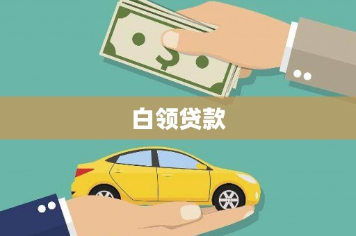 疏勒白领贷款