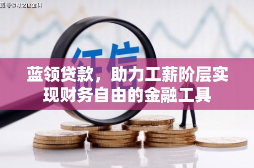 疏勒蓝领贷款，助力工薪阶层实现财务自由的金融工具