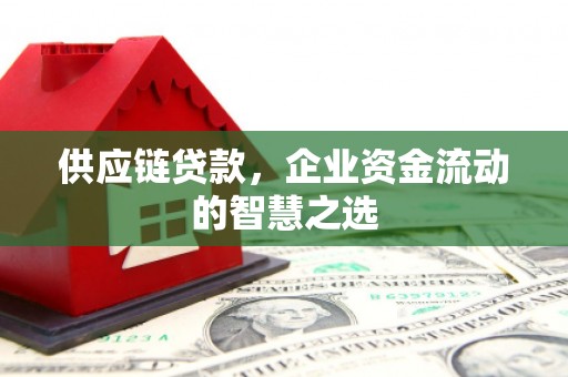 疏勒供应链贷款，企业资金流动的智慧之选
