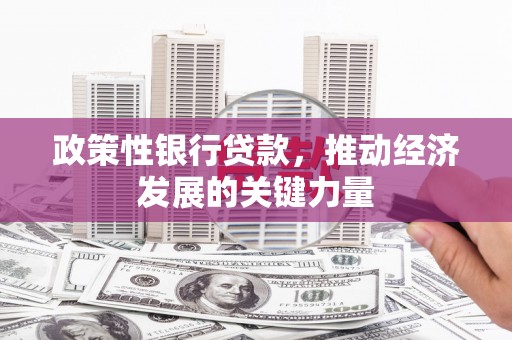 疏勒政策性银行贷款，推动经济发展的关键力量