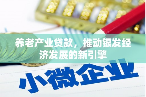 疏勒养老产业贷款，推动银发经济发展的新引擎