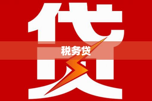 疏勒税务贷