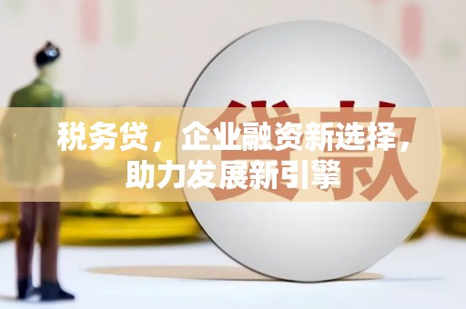 疏勒税务贷，企业融资新选择，助力发展新引擎