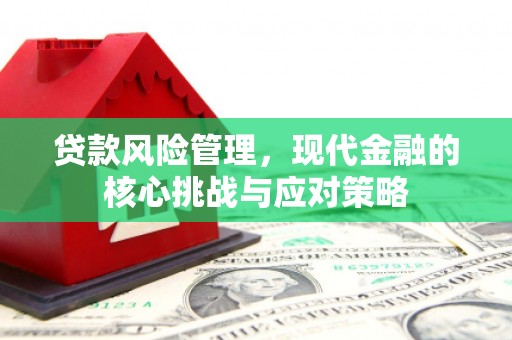 疏勒贷款风险管理，现代金融的核心挑战与应对策略