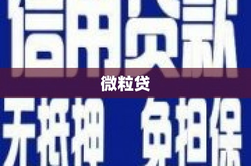 疏勒微粒贷