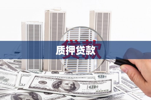 疏勒质押贷款