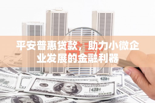 疏勒平安普惠贷款，助力小微企业发展的金融利器