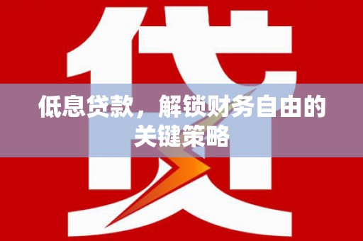 疏勒低息贷款，解锁财务自由的关键策略