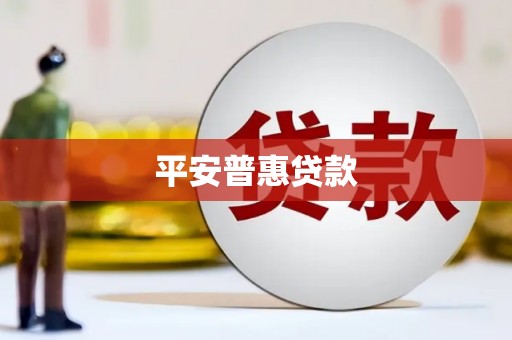 疏勒平安普惠贷款