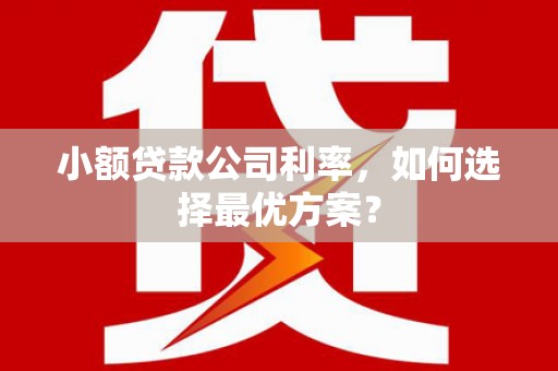 疏勒小额贷款公司利率，如何选择最优方案？