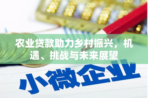 疏勒农业贷款助力乡村振兴，机遇、挑战与未来展望