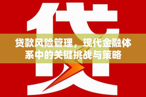 疏勒贷款风险管理，现代金融体系中的关键挑战与策略