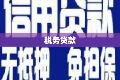 疏勒税务贷款