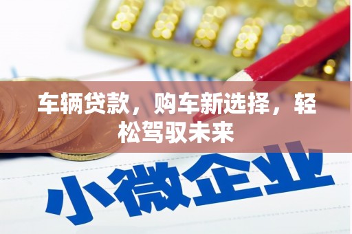 疏勒车辆贷款，购车新选择，轻松驾驭未来
