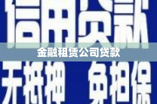 疏勒金融租赁公司贷款