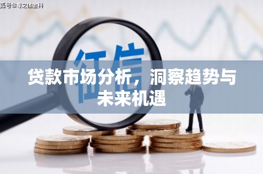 疏勒贷款市场分析，洞察趋势与未来机遇