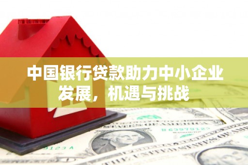 疏勒中国银行贷款助力中小企业发展，机遇与挑战