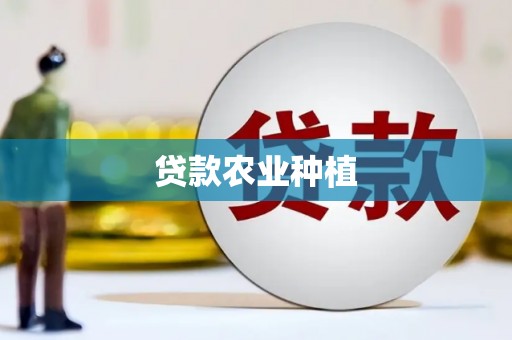 疏勒贷款农业种植