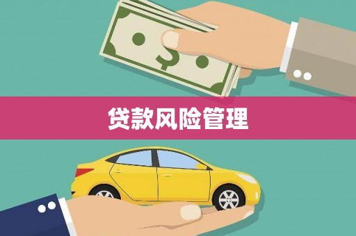 疏勒贷款风险管理