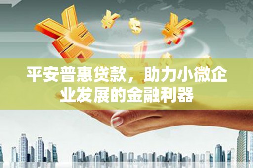 疏勒平安普惠贷款，助力小微企业发展的金融利器