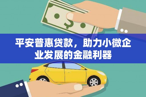 疏勒平安普惠贷款，助力小微企业发展的金融利器