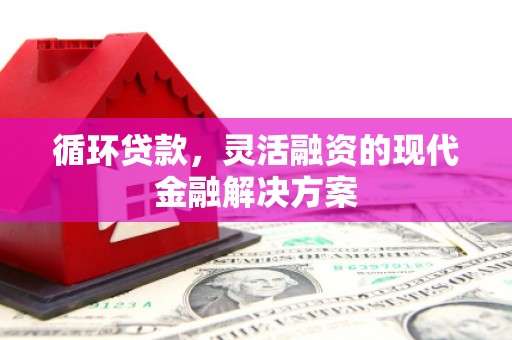 疏勒循环贷款，灵活融资的现代金融解决方案