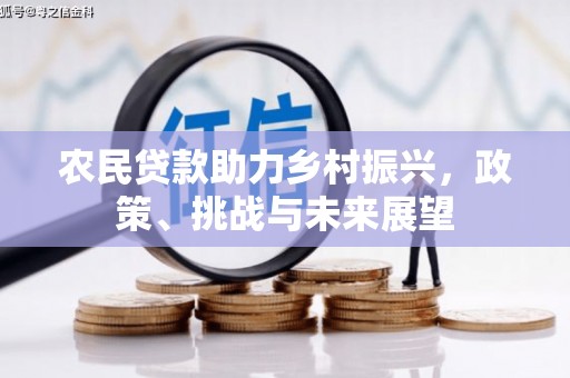 疏勒农民贷款助力乡村振兴，政策、挑战与未来展望