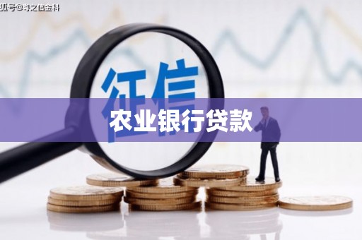 疏勒农业银行贷款