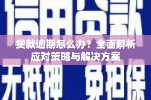 疏勒贷款逾期怎么办？全面解析应对策略与解决方案