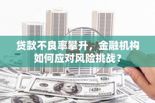 疏勒贷款不良率攀升，金融机构如何应对风险挑战？