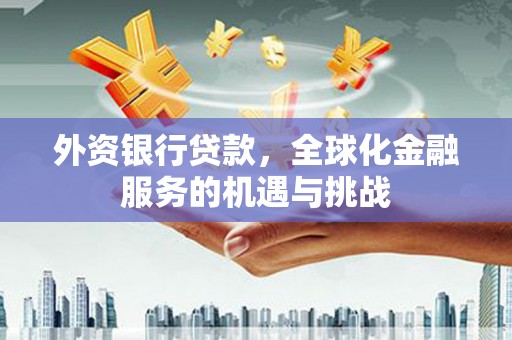 疏勒外资银行贷款，全球化金融服务的机遇与挑战