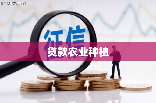 疏勒贷款农业种植